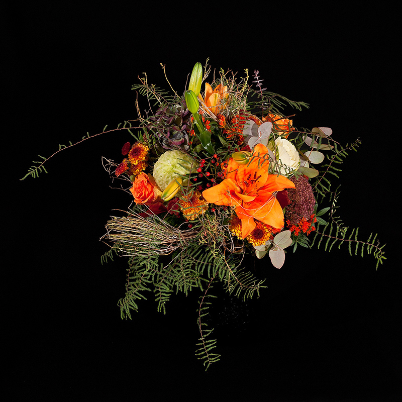 Flowers - Fleurs - Asclépiade