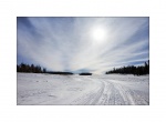_DSC5433_800cb_wm.jpg