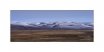 _DSC5449_800cb_wm.jpg